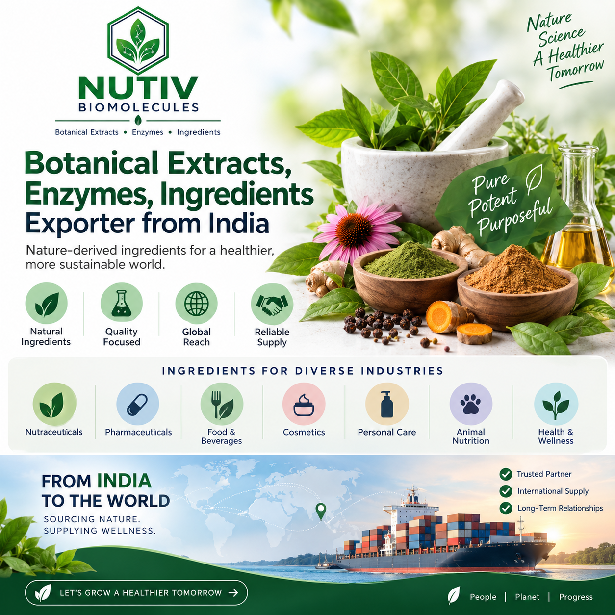 Botanical Extracts, Enzymes, Ingredients Exporter from India – Nutiv Biomolecules
