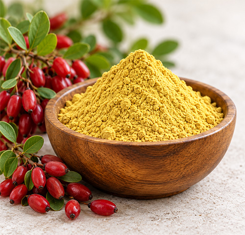 Berberis Extract