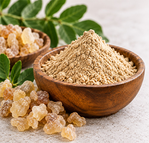 Boswellia Serrata Extract