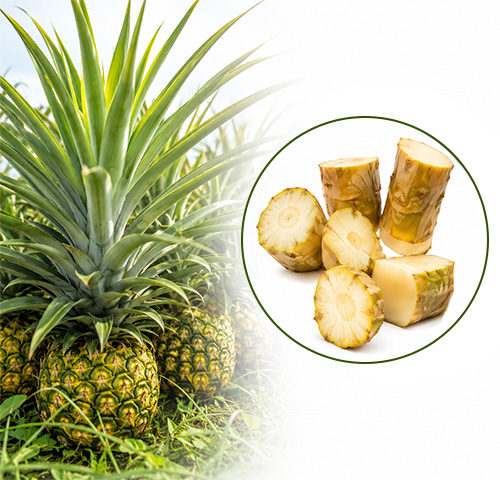 Bromelain - Altair Hearing Centre